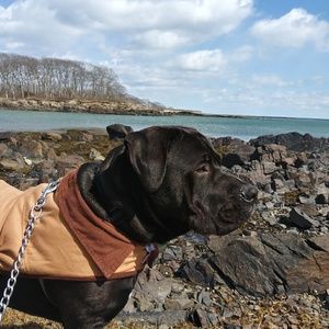 Meet your Posher, Robert